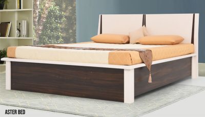 aster bed